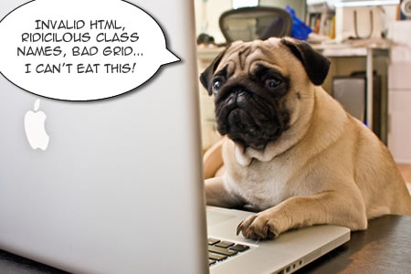 homework-dog
